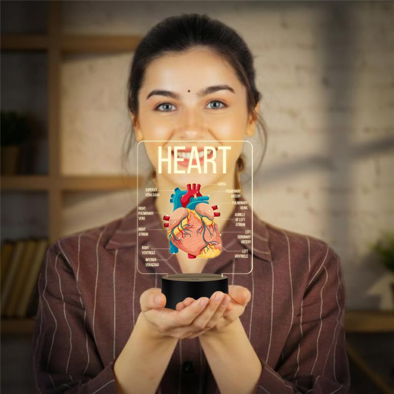 3D Illusion Anatomical Heart Diagram LED Lamp with Warm White Light Gift for Medical & Science Student Home, Clinic, Hospital & Study Desk Table Decor